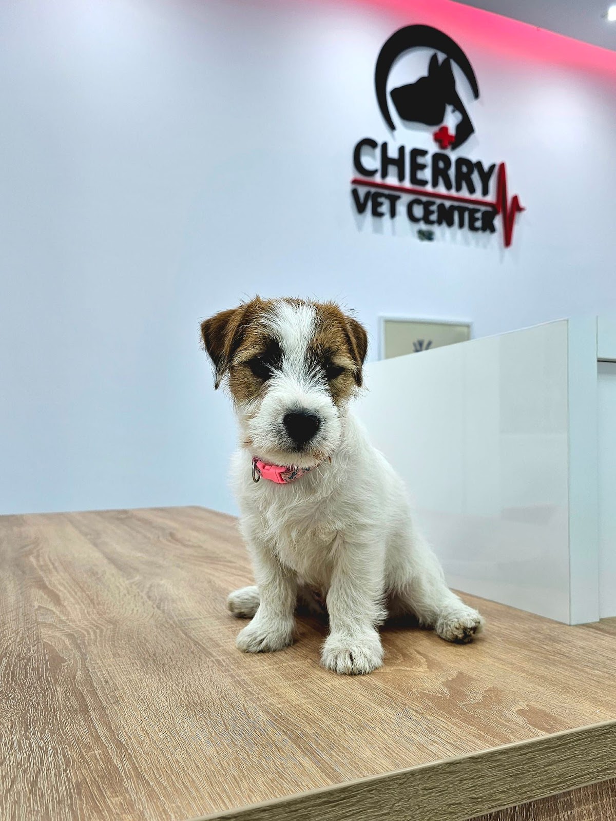 Cherry Vet Center